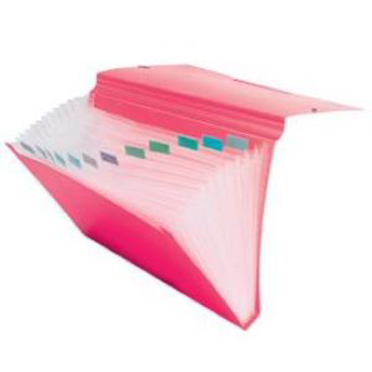 Picture of 361006 COLOROSA EXPANDING FILE ORGANISER A4 12 SECTIONS